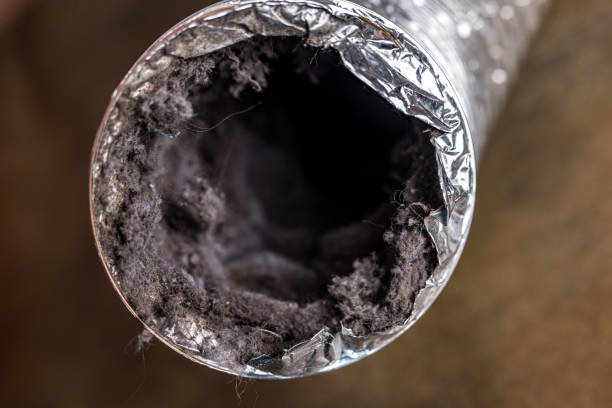 Best Affordable HVAC Duct Cleaning  in Palestine, TX